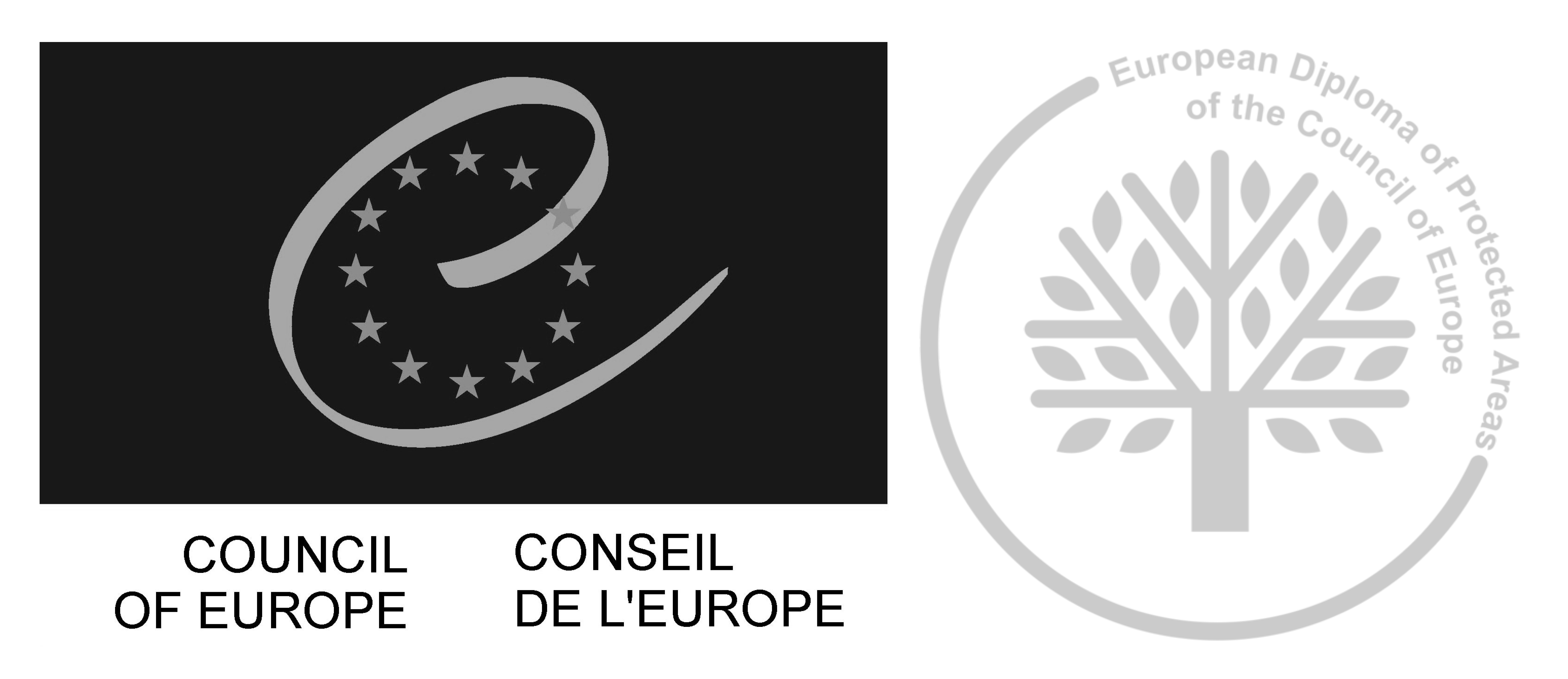 Europadiplom - Logo