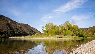 Donau bei Aggsbach (c) Lachlan Blair